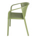 G GIANOVA ARMCHAIR OLIVE