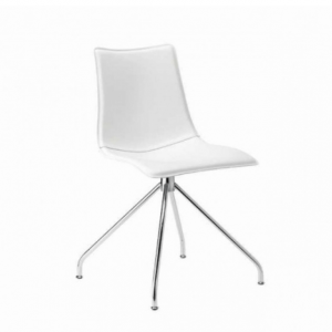 BC 2646 ZEBPOP